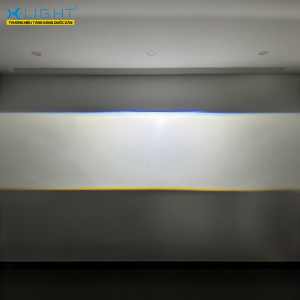 Xlight Quantum X