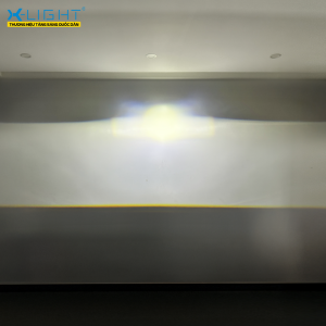 Xlight Quantum X