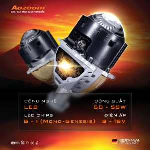Aozoom Lion
