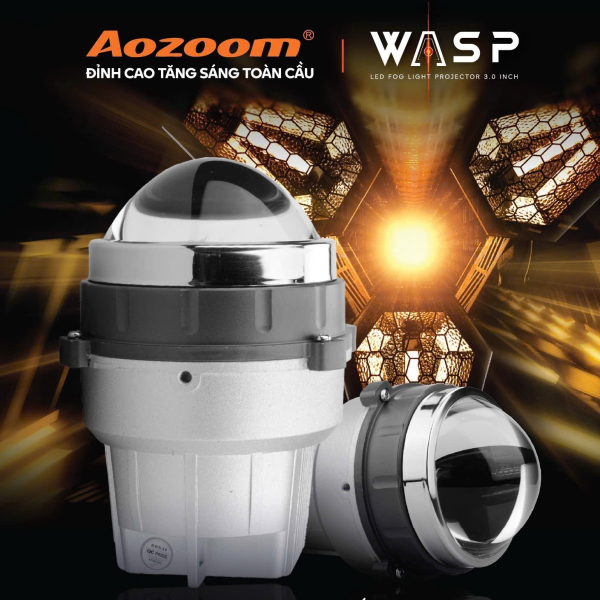 Aozoom Wasp